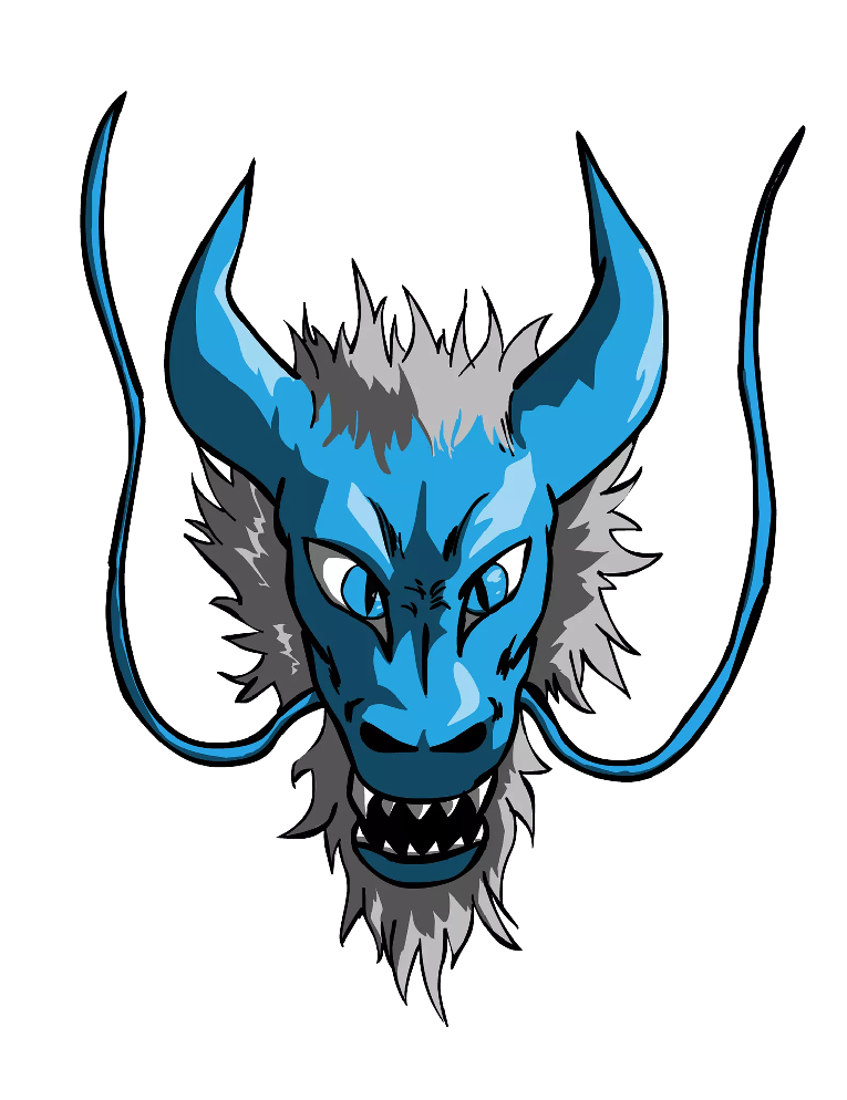 Skateboard Misc – BlueDragonSkate